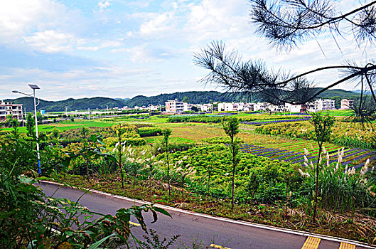 北京小時工大概多少錢？了解市場趨勢與雇傭指南
