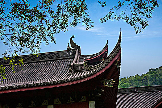 長沙正規(guī)家政電話多少？高效專業(yè)服務(wù)，讓您的生活更輕松