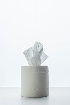 家政行業(yè)的發(fā)展與前景：一個(gè)正在崛起的職業(yè)領(lǐng)域