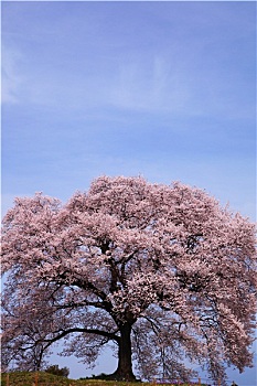 廈門(mén)請(qǐng)個(gè)鐘點(diǎn)工多少錢(qián)？揭秘廈門(mén)鐘點(diǎn)工服務(wù)價(jià)格及選擇指南