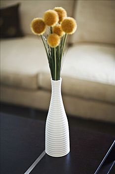 濟(jì)南家政行業(yè)的崛起與發(fā)展：市場潛力與未來趨勢