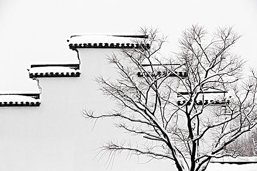 唐人街3萬(wàn)達(dá)主投多少：揭秘萬(wàn)達(dá)背后的戰(zhàn)略布局與投資回報(bào)