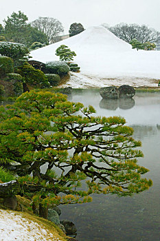 哪吒重生投資多少錢？揭開(kāi)這項(xiàng)熱門(mén)投資機(jī)會(huì)的真相！