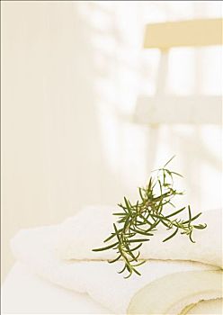 重慶保姆多少錢做飯服務(wù)讓你無憂無慮