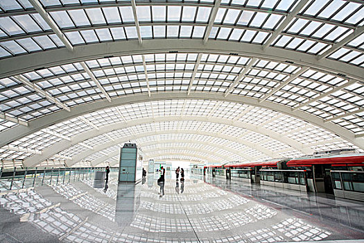 貓賽多少錢(qián)一只：揭秘貓賽市場(chǎng)的價(jià)格背后