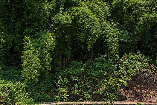 藍(lán)金漸層色號(hào)AY25多少錢(qián)？解鎖無(wú)敵魅力，盡在這一款時(shí)尚色彩！