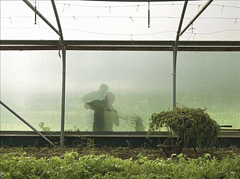 廈門這邊清洗家電多少錢？讓家電煥然一新，告別臟污困擾！