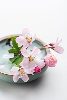 武漢全天保姆多少錢？揭秘武漢保姆市場(chǎng)的價(jià)格與選擇