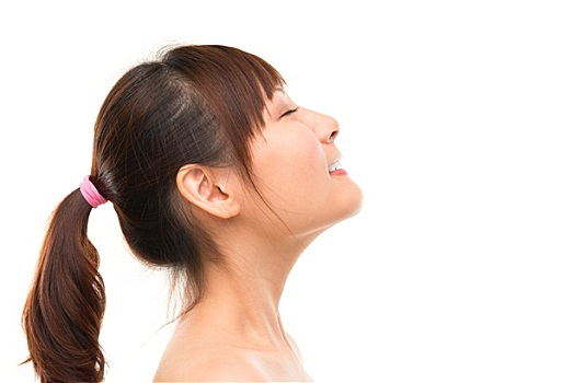 3個(gè)月緬因貓多少錢一只？如何選擇優(yōu)質(zhì)緬因貓？