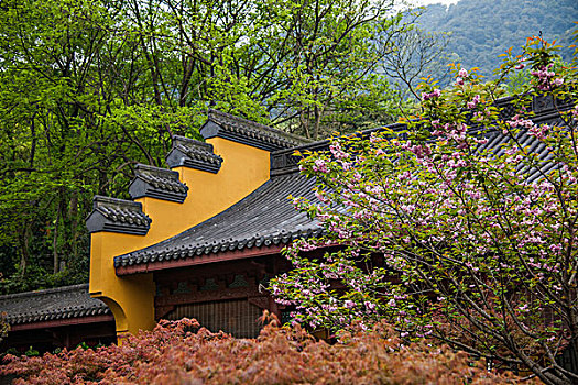 《唐探3》票房分析：創(chuàng)下新紀(jì)錄，票房背后故事不容錯(cuò)過