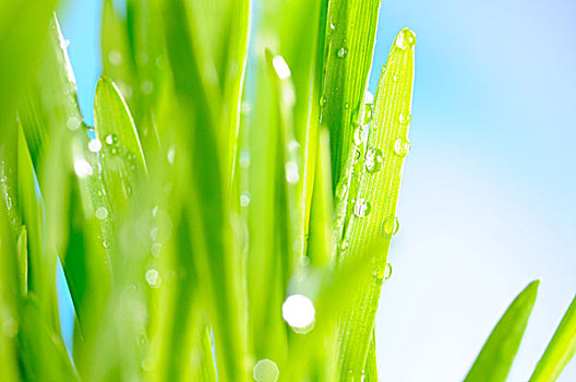 家政保潔工工資多少錢？揭秘家政行業(yè)的薪資水平與發(fā)展前景