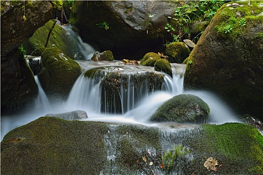 我和我的家長(zhǎng)投資多少——一場(chǎng)關(guān)于財(cái)富傳承的智慧探索