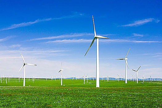 綠源家政電話多少？解決您所有家政服務(wù)需求的完美選擇