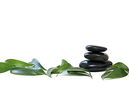 成都做家政工資多少？揭開家政行業(yè)背后的薪資秘密