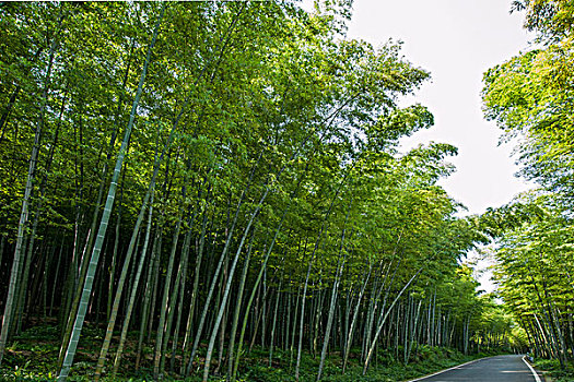 曲江家政服務行業(yè)的蓬勃發(fā)展與市場前景
