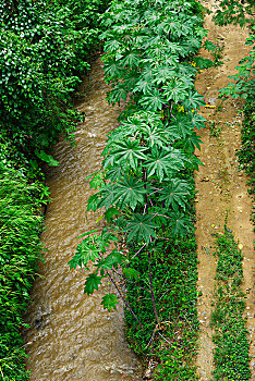 在福州找保姆工資多少？了解福州保姆市場行情，找到最適合您的選擇！