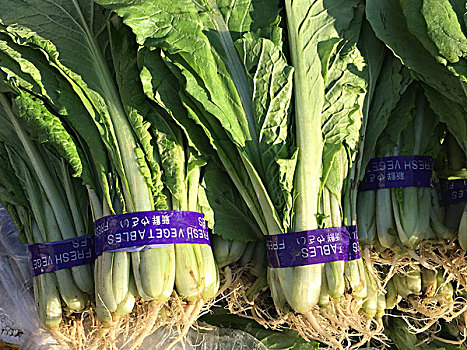 福州洗洗衣機(jī)多少錢一個？揭秘福州市場的洗衣機(jī)價格與購買技巧