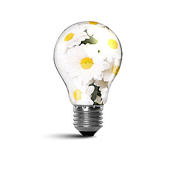 《婚前故事》票房大揭秘：為何這部電影成為年度現(xiàn)象？