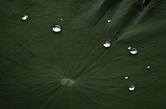 深圳龍華請(qǐng)個(gè)月嫂多少錢(qián)？月嫂服務(wù)價(jià)格全解析！