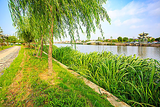 濟(jì)寧市的保姆多少錢？揭秘濟(jì)寧市保姆服務(wù)市場(chǎng)的價(jià)格與趨勢(shì)